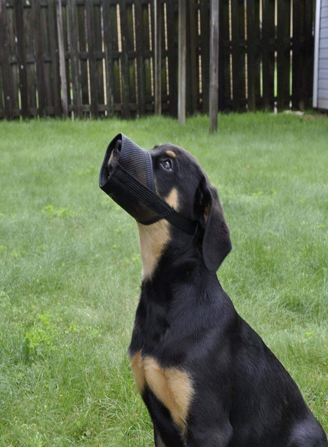 ويستيرن إرا كمامة سلكية شبكية من ويسترن إيرا لطوق أمان للحيوانات الأليفة لمنع العض (أسود) (متوسط - M) - Image 4